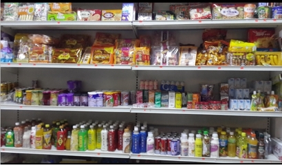 它走遍了全國(guó)各地-終于來到西雙版納